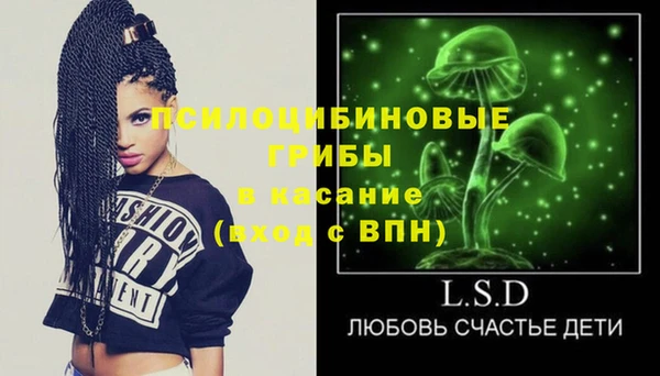 бошки Алзамай