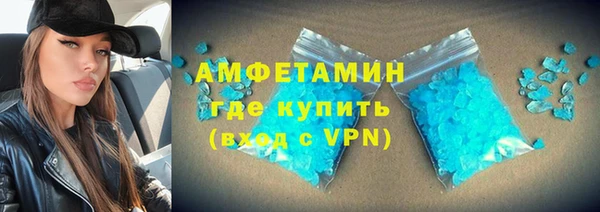 мет Алексин